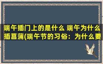 端午插门上的是什么 端午为什么插菖蒲(端午节的习俗：为什么要在门上插菖蒲？)